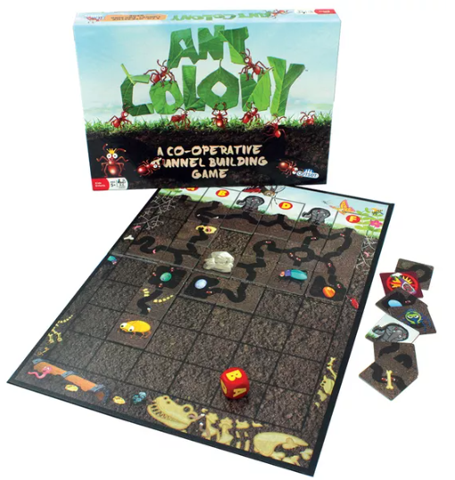 Ant Colony Board Game: Planning Routes and Anticipating Risk